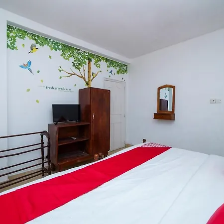 Oyo 550 Amasha Ayurveda 3* Nuwara Eliya