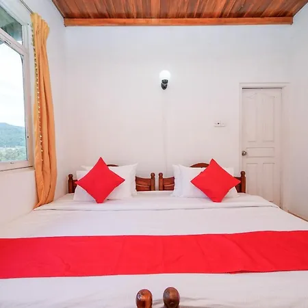 Hotel Oyo 550 Amasha Ayurveda 3*