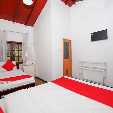 Hotel Oyo 554 Miheli 3*