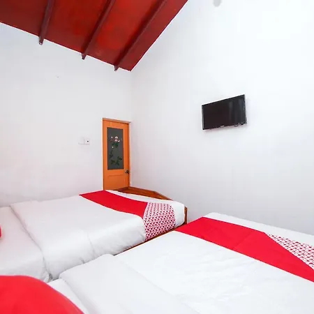 Hotel Oyo 554 Miheli 3*