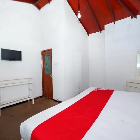 Hotel Oyo 554 Miheli 3*