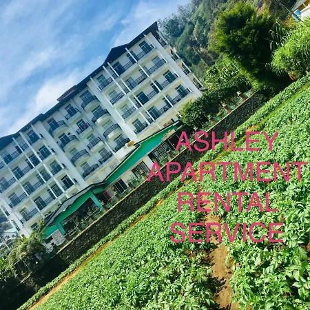 Ashley Services * Nuwara Eliya