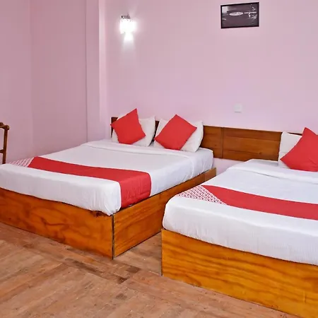 Hotel Oyo 349 The Vintage 3*