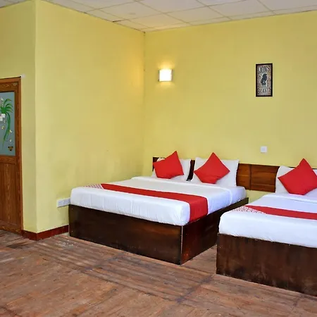 Hotel Oyo 349 The Vintage