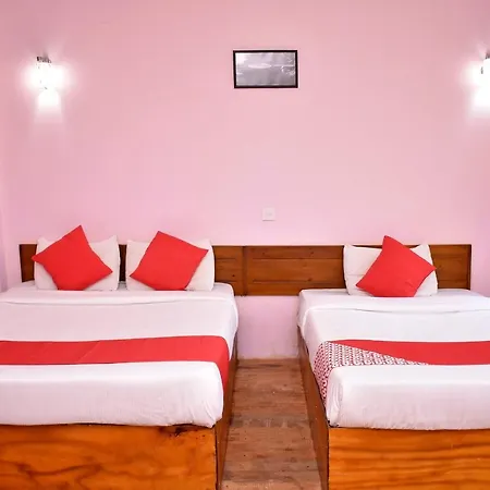 Hotel Oyo 349 The Vintage