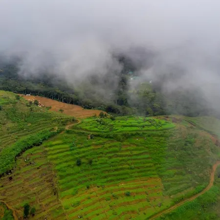 Mandaram Eco
