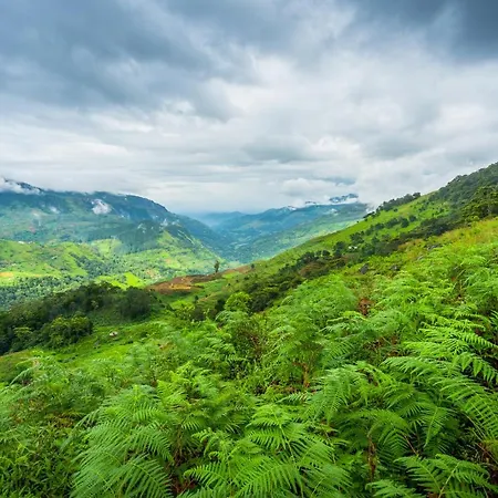 Mandaram Eco 3* Nuwara Eliya