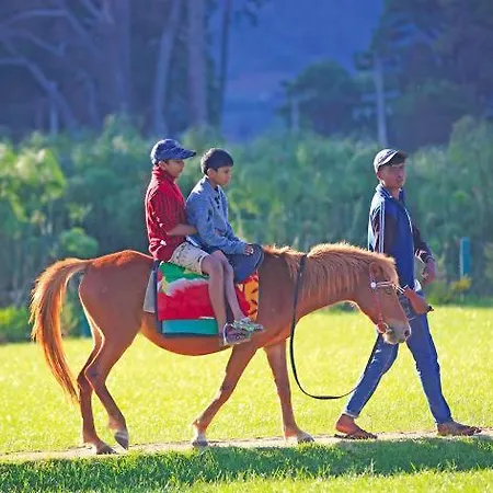 Holiday Nuwara Eliya
