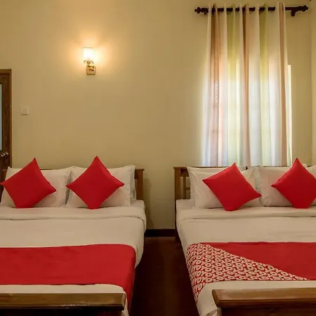 Hotel Oyo 564 Green 3*