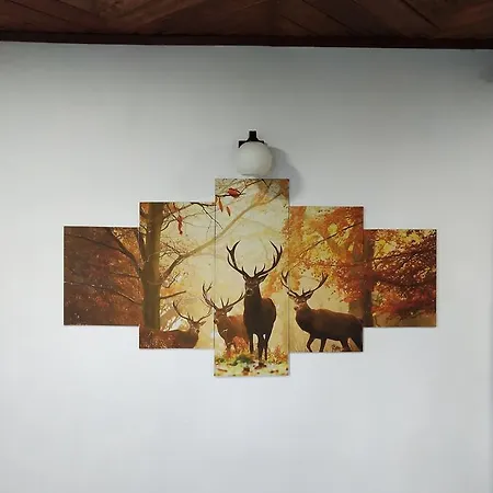 B&B Nuwara Eliya Nuwara Eliya