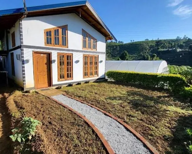 Dream Wood Villa01