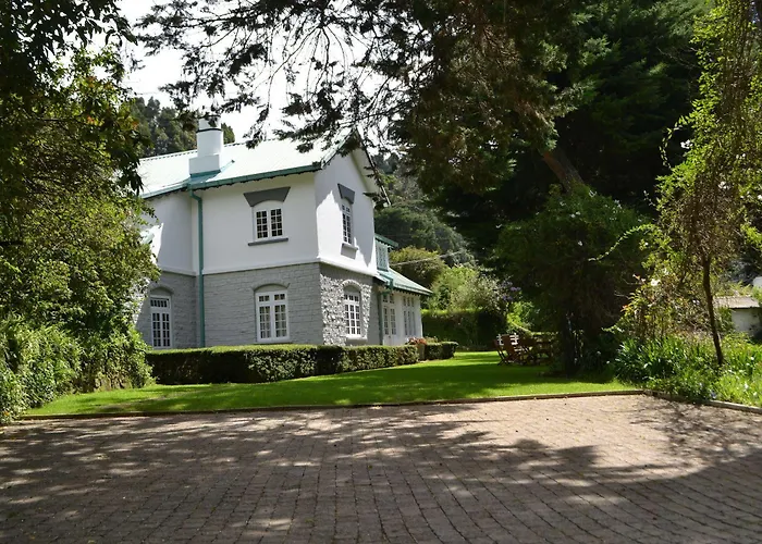 Brockenhurst Bungalow