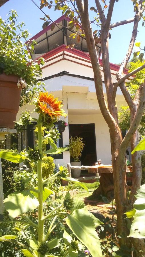 Redwood Homestay Guest house *
