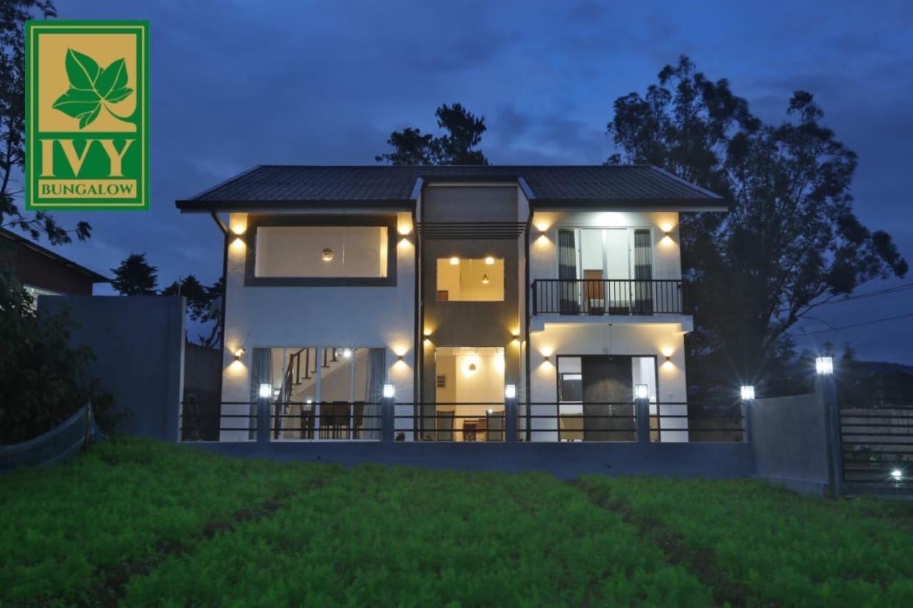 Ivy Bungalow Guest house