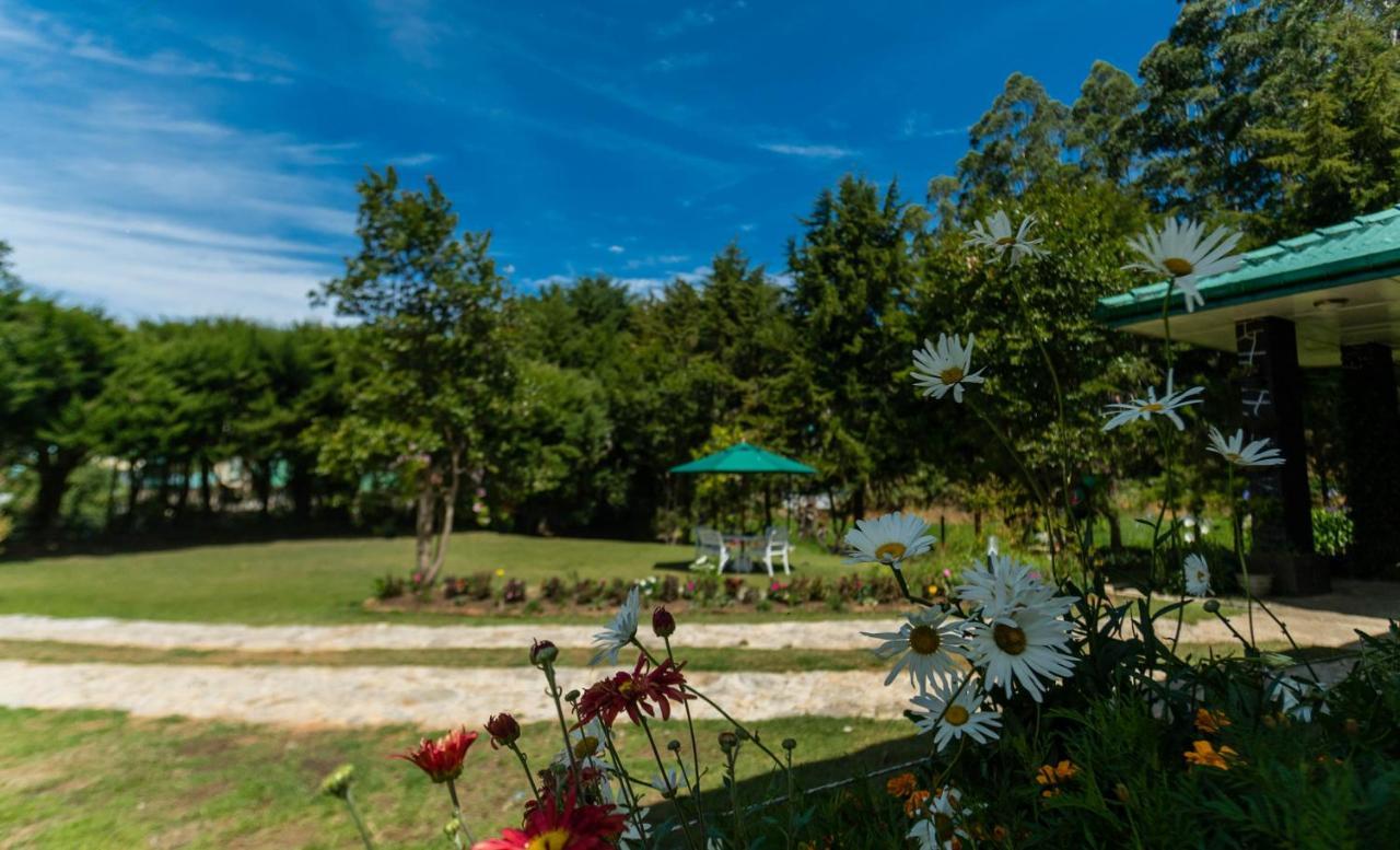 The Seven Oaks *
