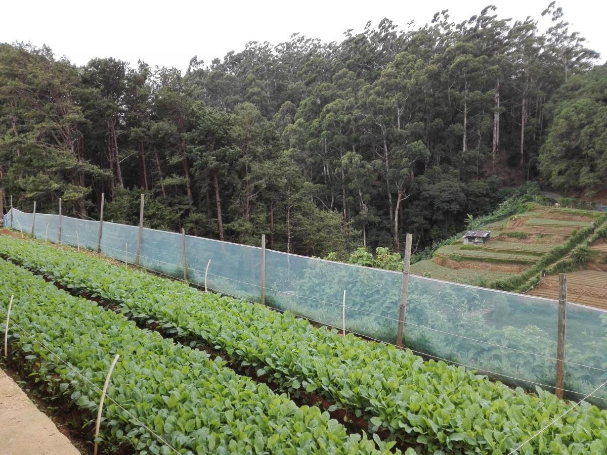 Keshiya Holiday home Nuwara Eliya