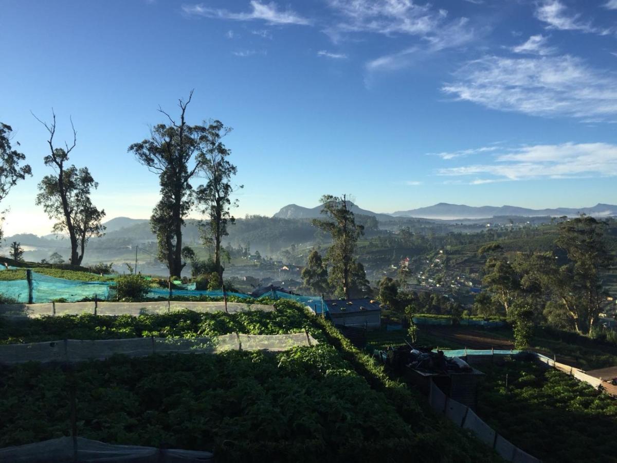 The Paul Woods * Nuwara Eliya