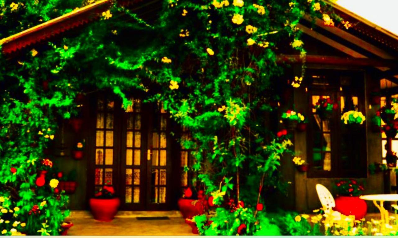 Serendipity Artistic By Heidis Guest house