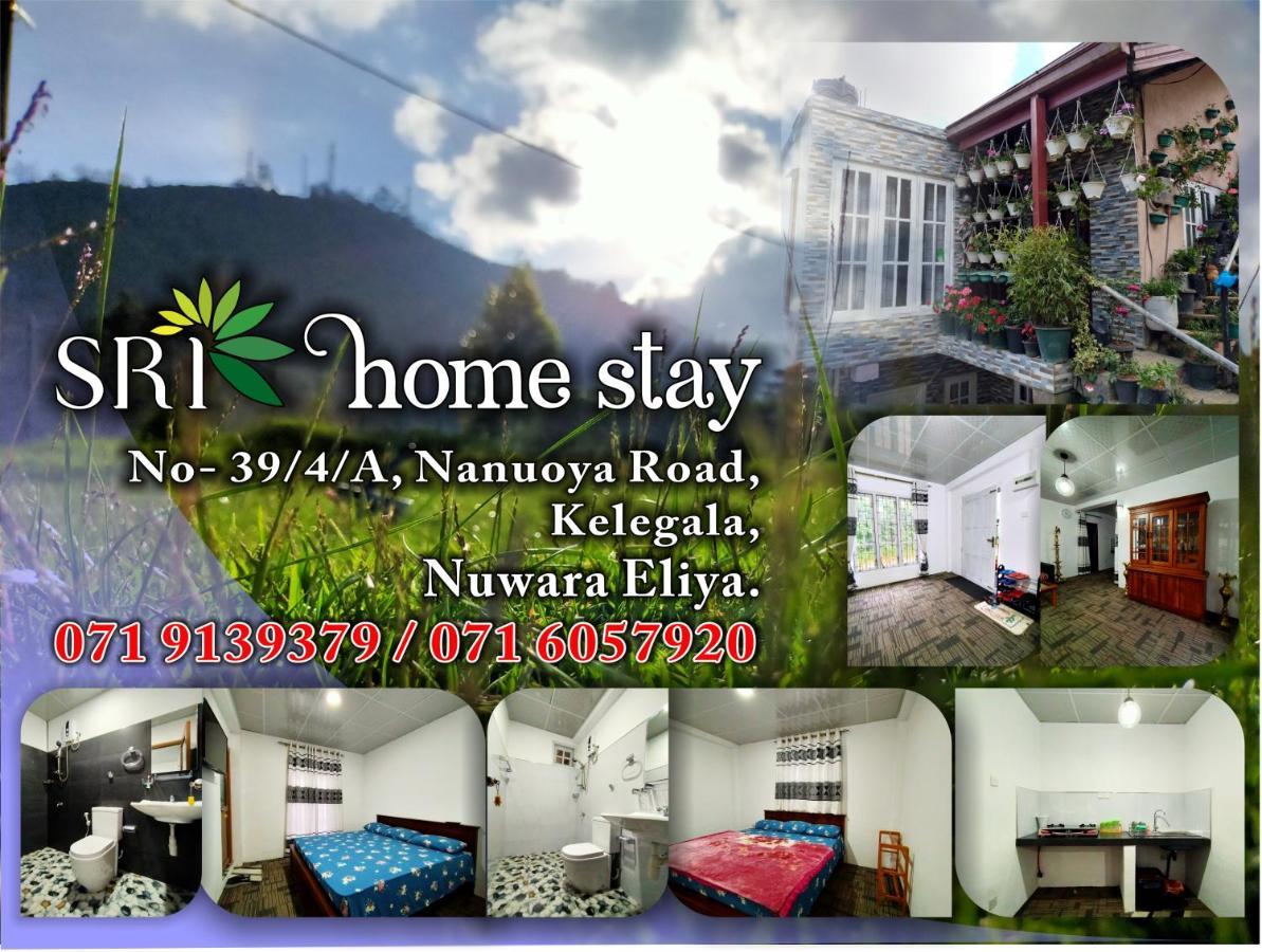 Homestay Sri