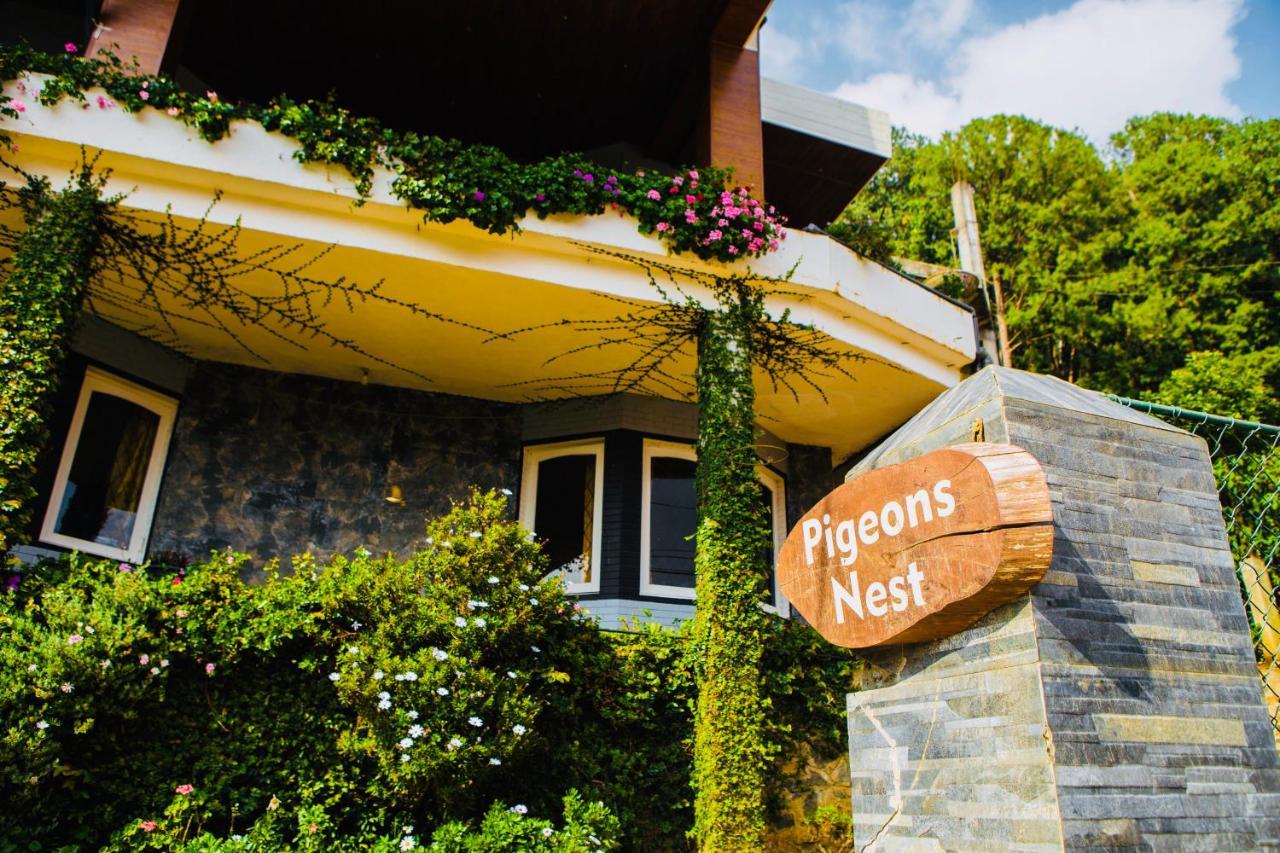 Bed & Breakfast Pigeons Nest Nuwara Eliya