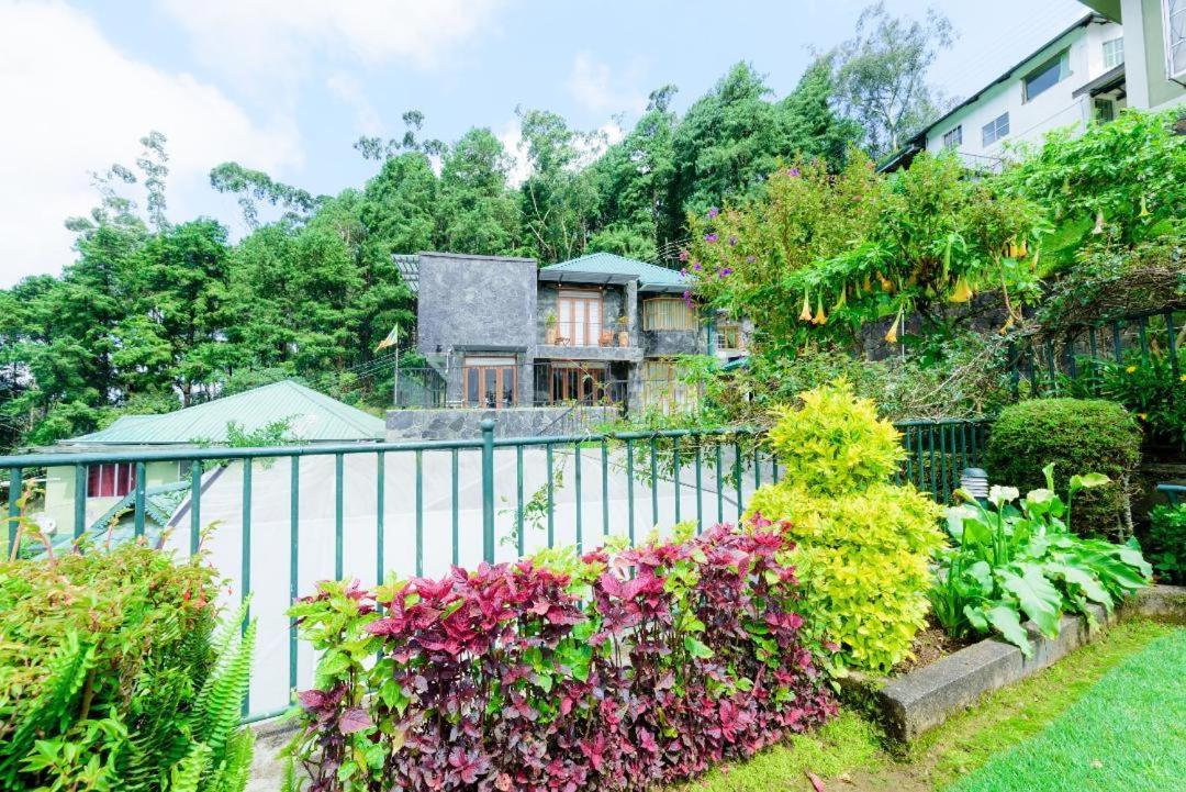 Villa Hummingbird Hill *
