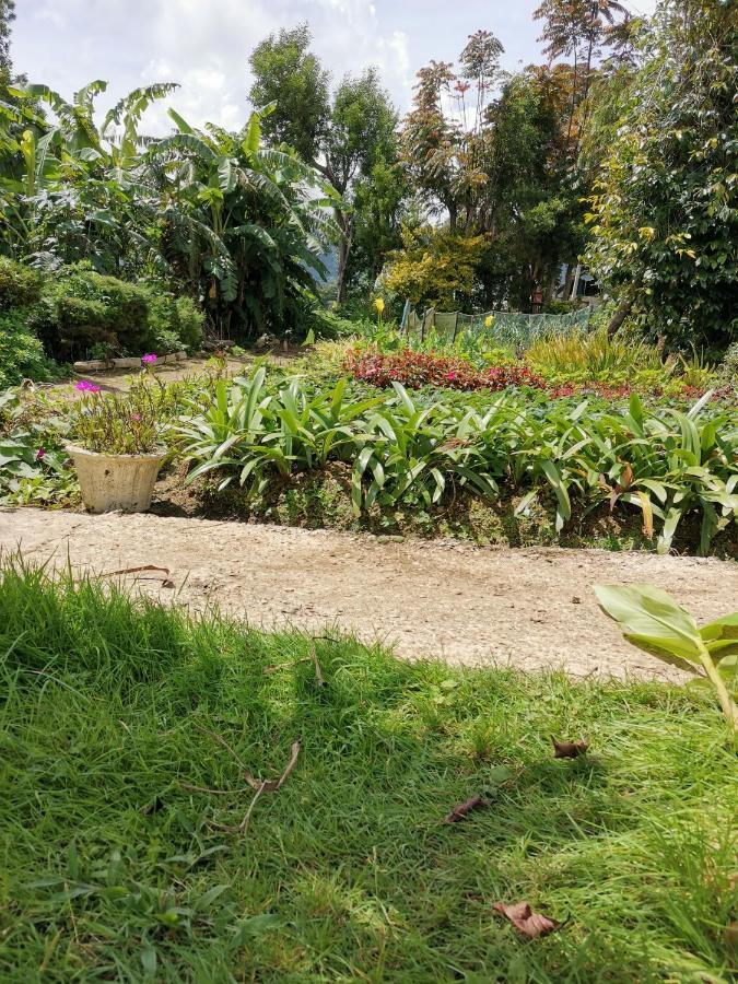 The Galways Edge * Nuwara Eliya