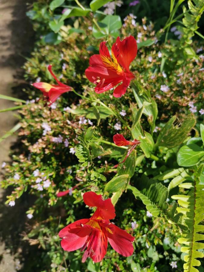 Homestay The Galways Edge Nuwara Eliya