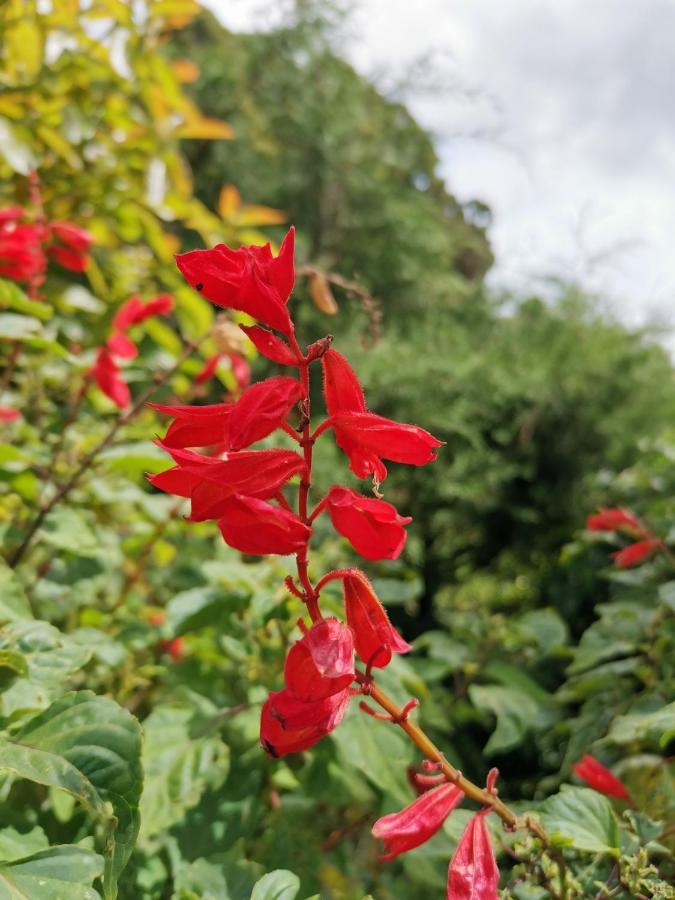 The Galways Edge Homestay Nuwara Eliya