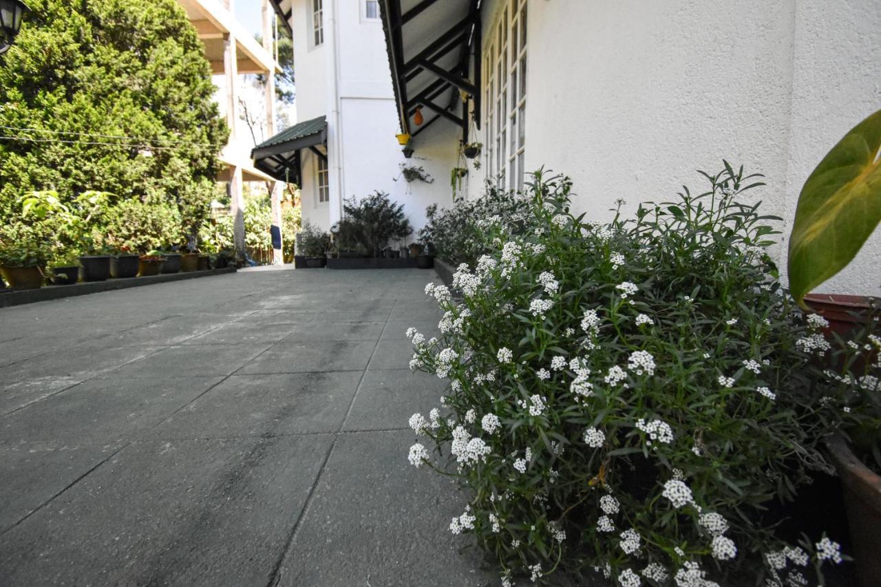 Guest house St. Anne Bunglow 3*