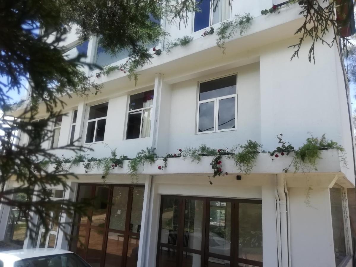 Hotel Tea Mount Forest Nuwara Eliya
