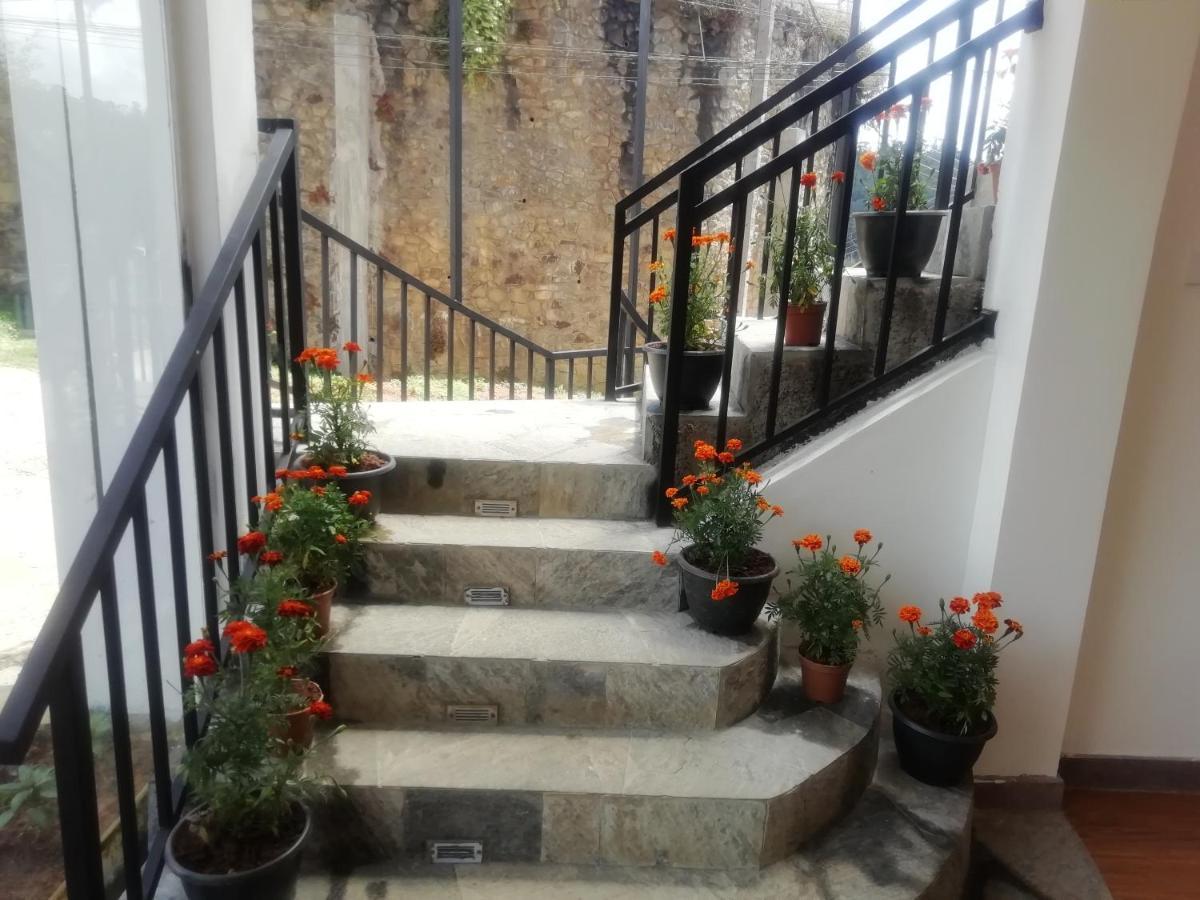 Hotel Tea Mount Forest Nuwara Eliya