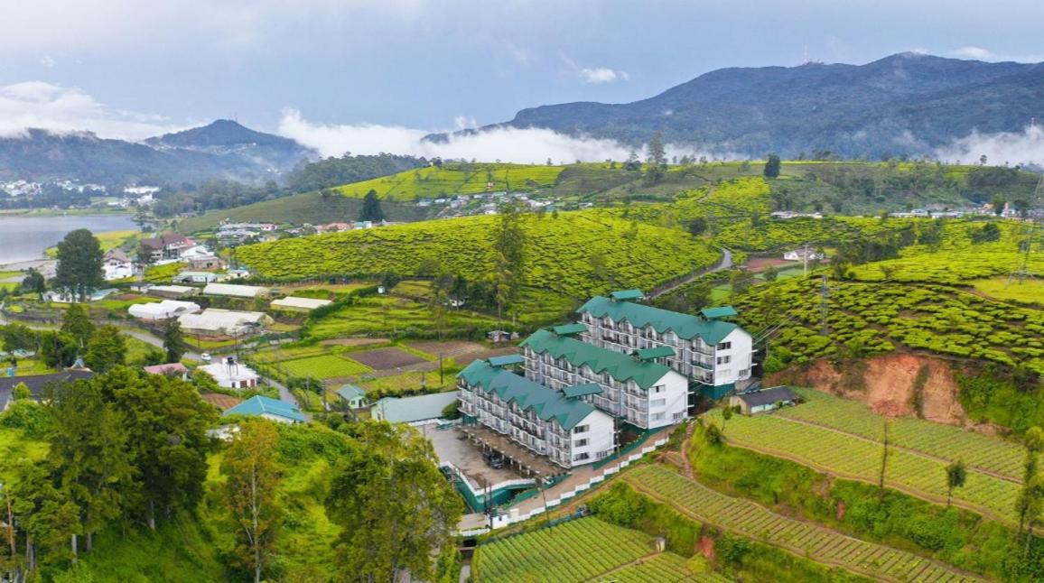 Tea Breeze Luxury Apartment