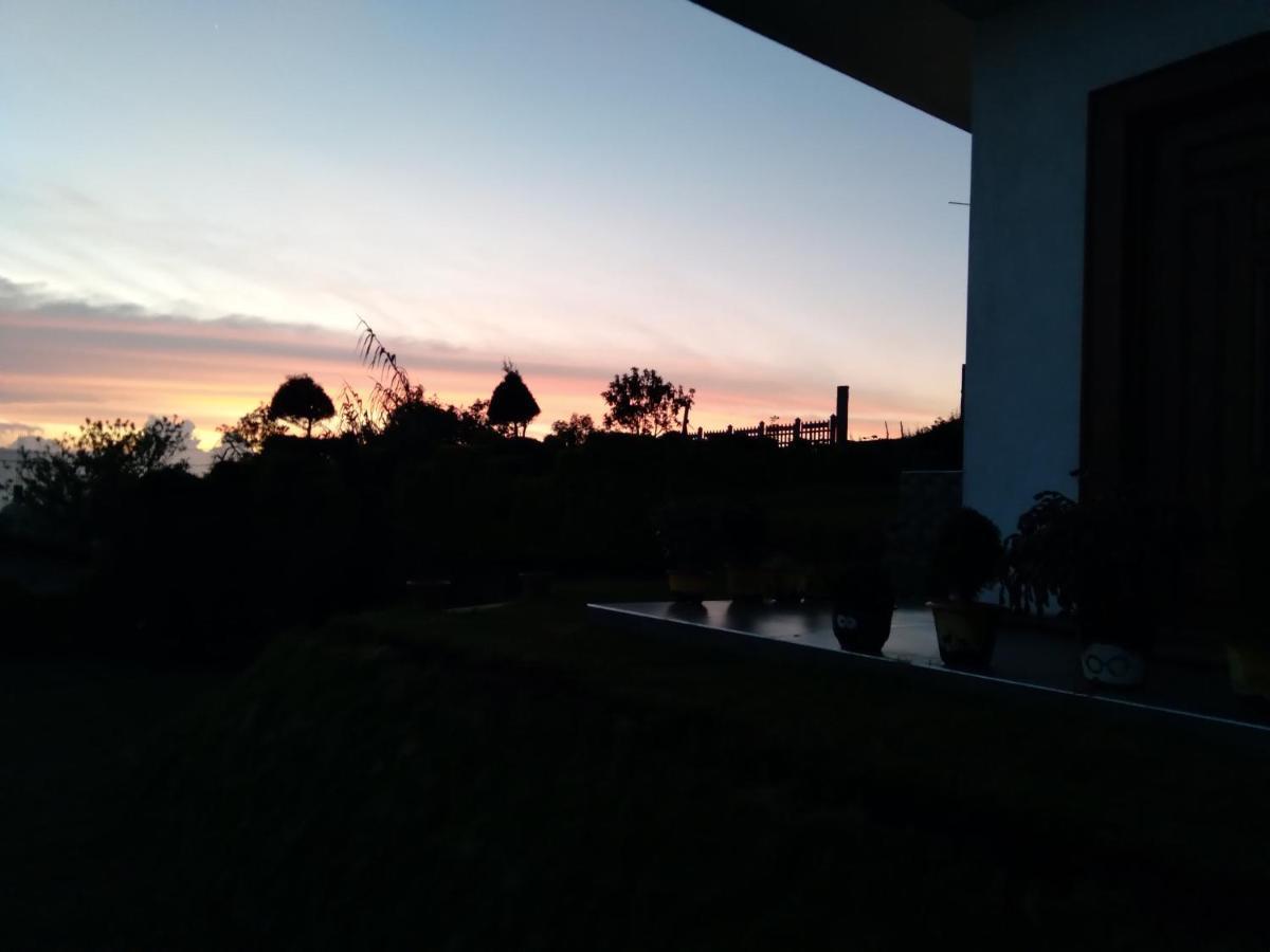 Guest house Elegant