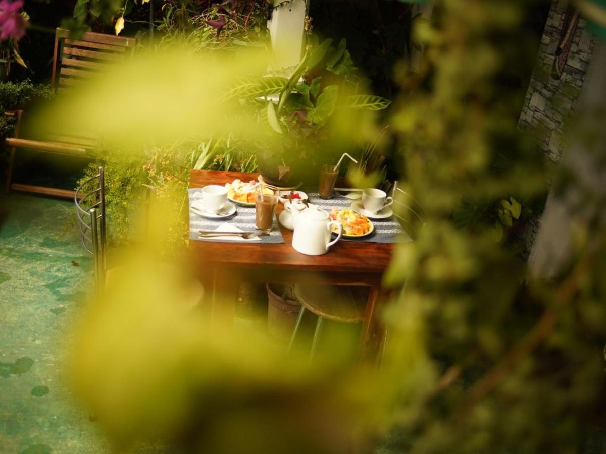Guest house Redwood Homestay