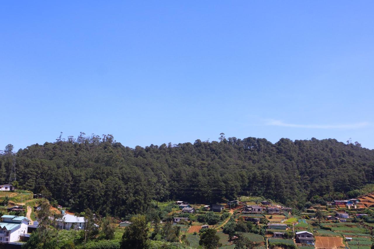 Avonvin * Nuwara Eliya