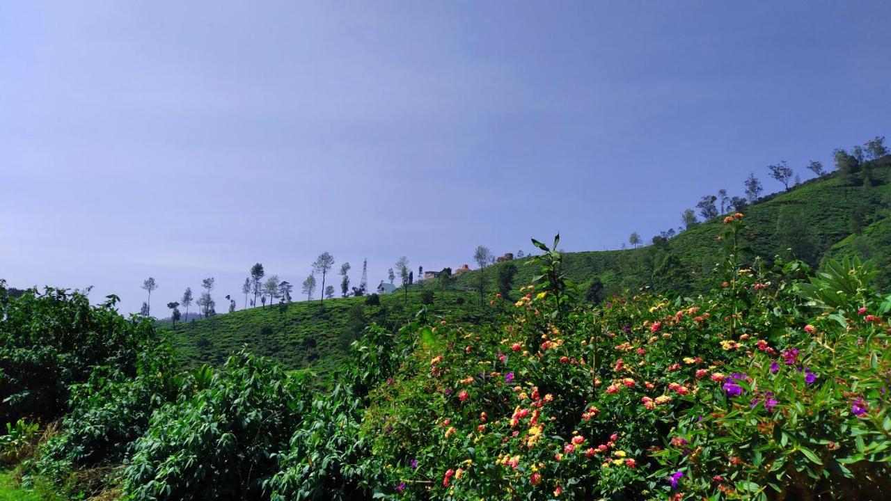Shirin1892 Nuwara Eliya
