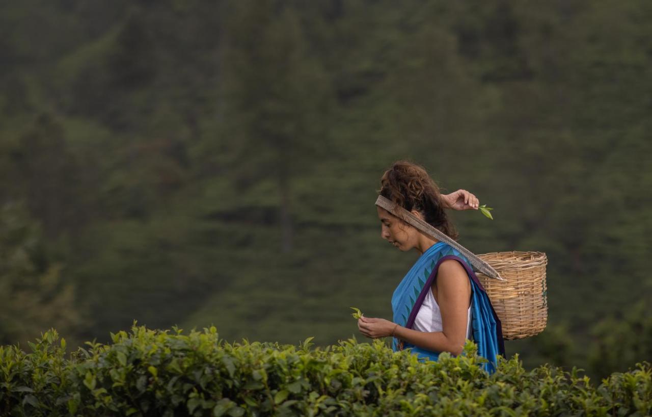 Hotel Heritance Tea Factory (adults Only) Nuwara Eliya