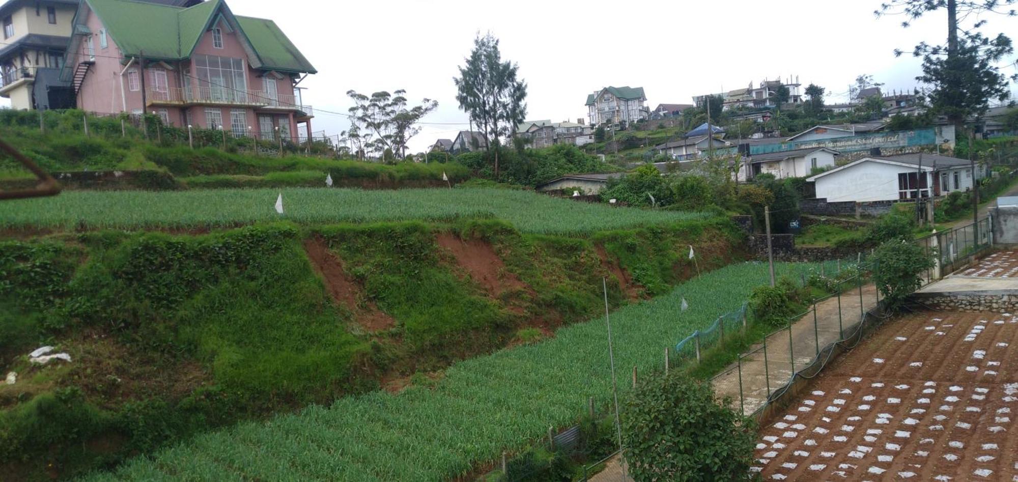 Jayamasa Homestay Homestay *