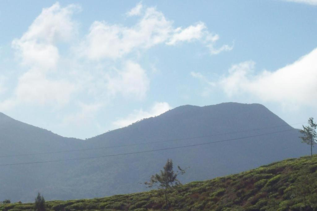 Jayamasa Homestay Homestay