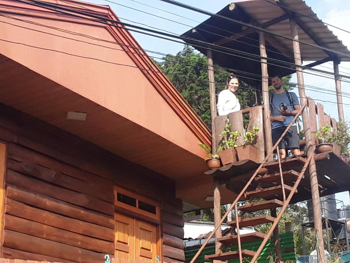 20/20 Wood Homestay