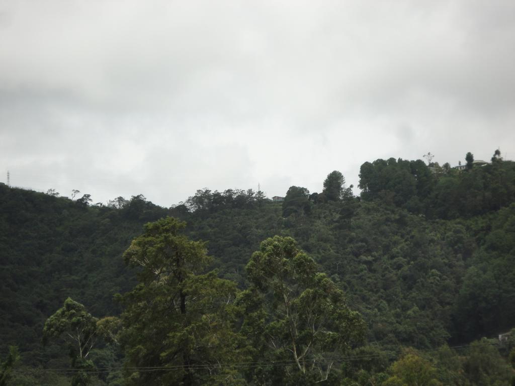 Homestay Srihelyes *