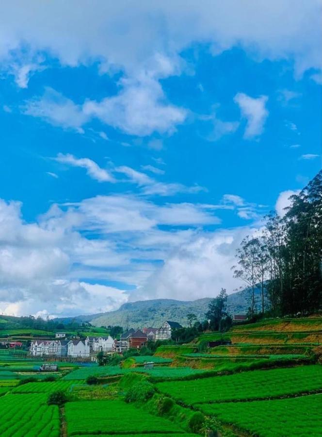 Dream * Nuwara Eliya