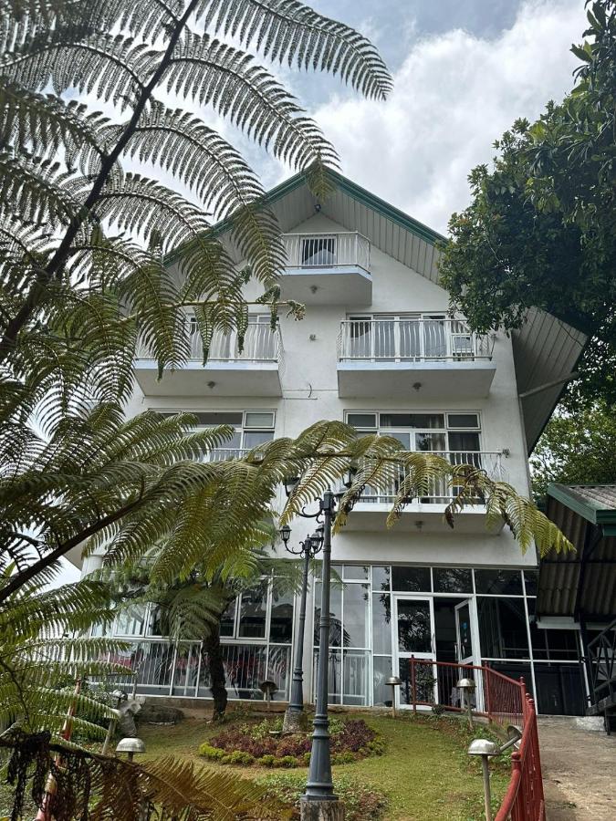 Misty Paradise Of Gregory Bed & Breakfast Nuwara Eliya