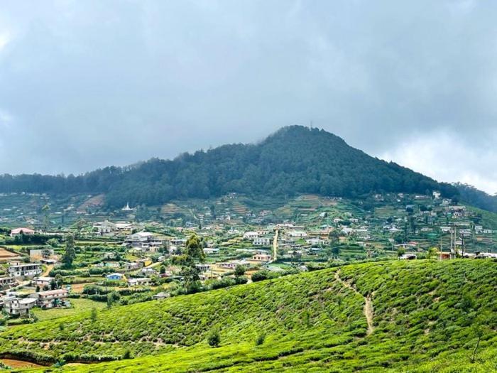 Nildiya * Nuwara Eliya