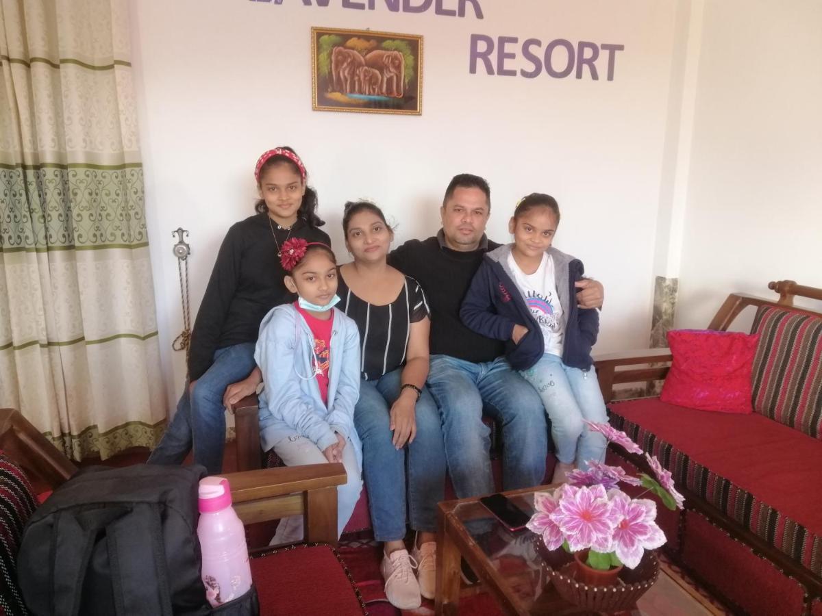 Lavender Resort