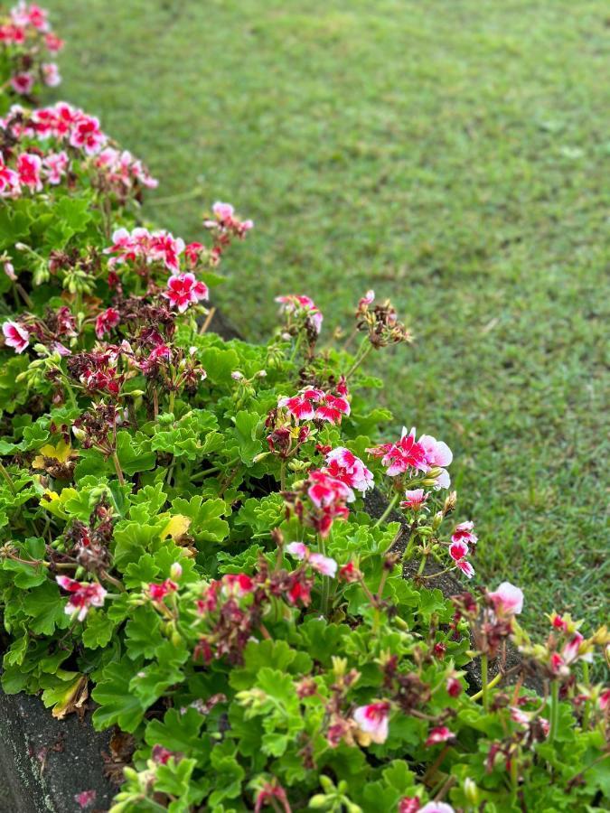 Hotel Stratford - Nuwara Eliya