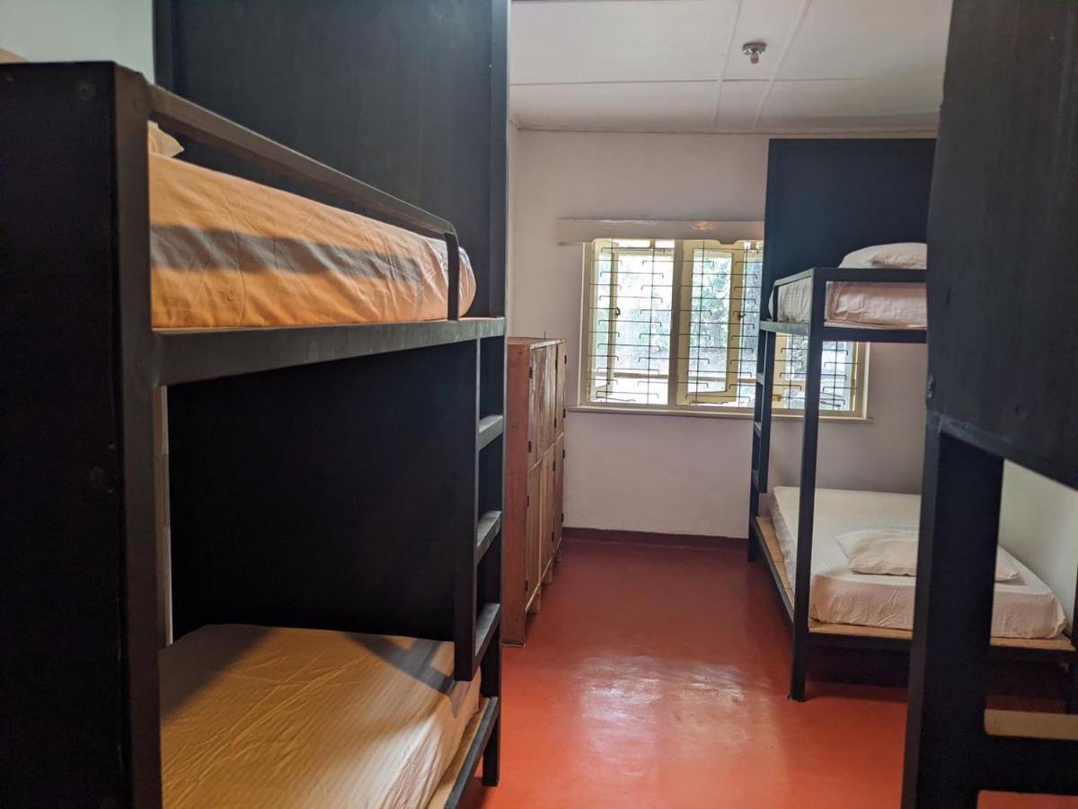 Chilly Croc Hostel *