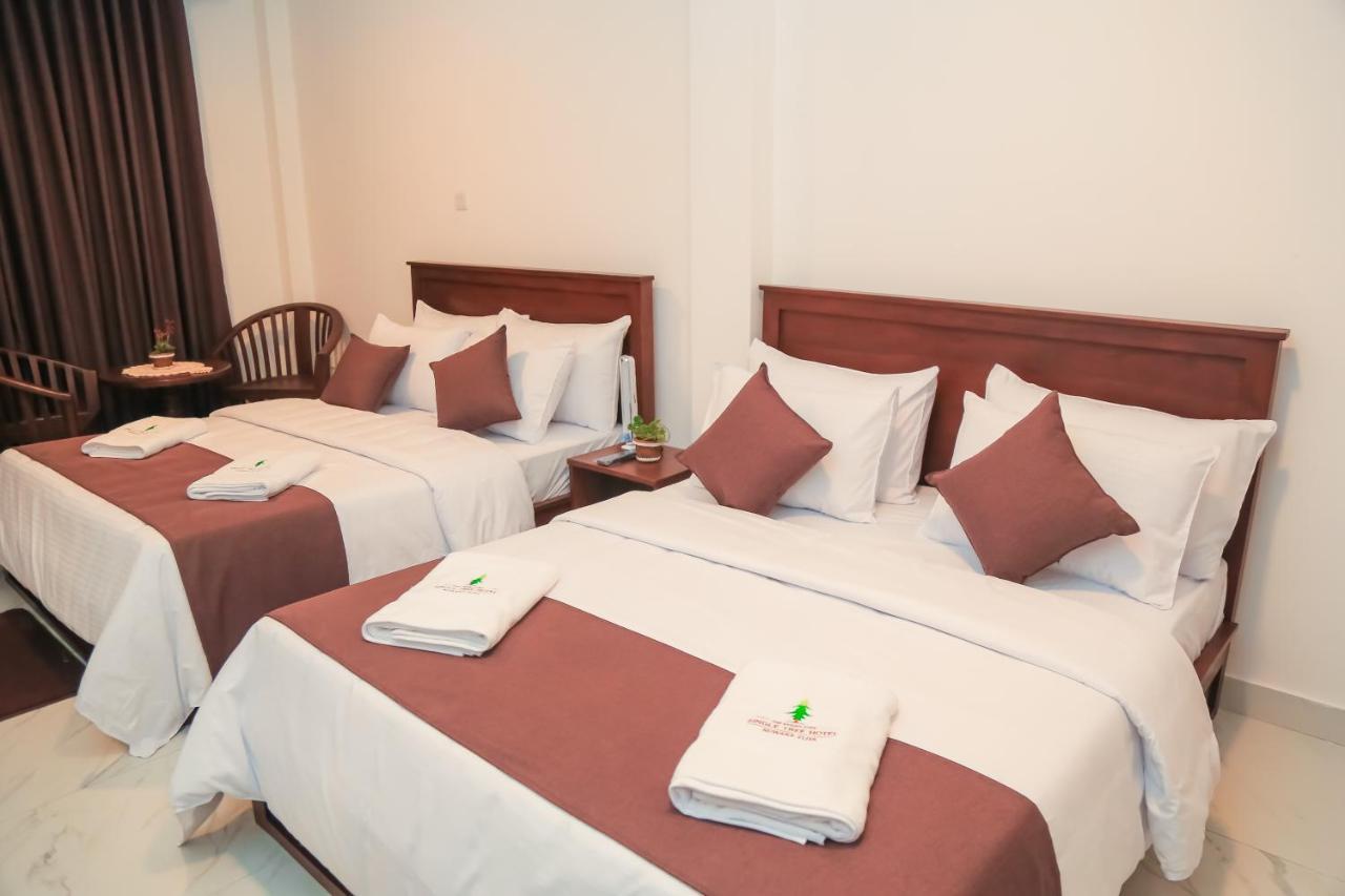 The Mount View Single Tree Hotel