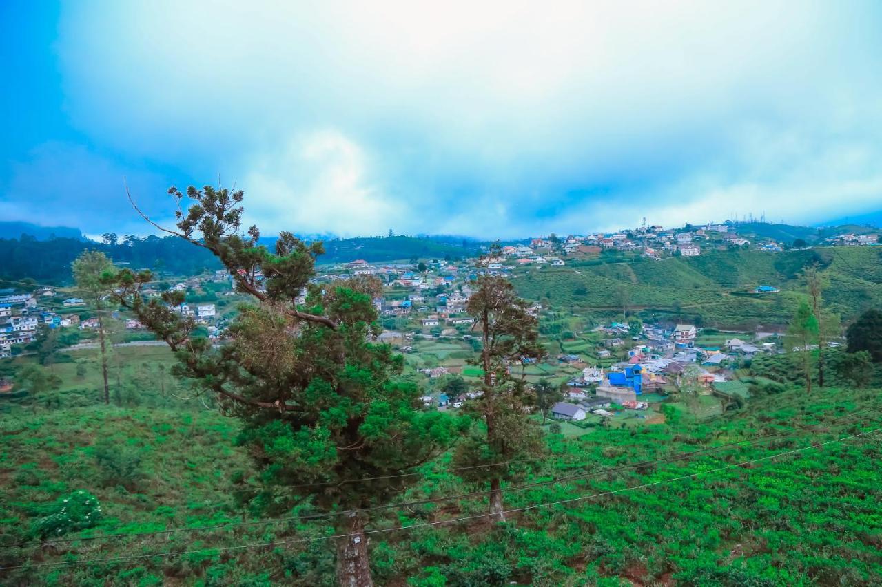 The Mount View Single Tree Hotel