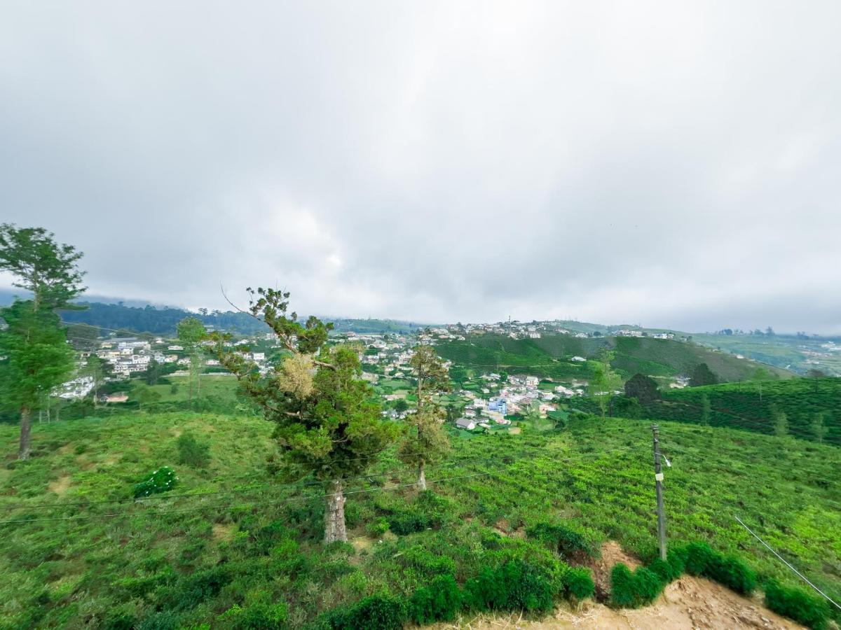 The Mount View Single Tree Hotel
